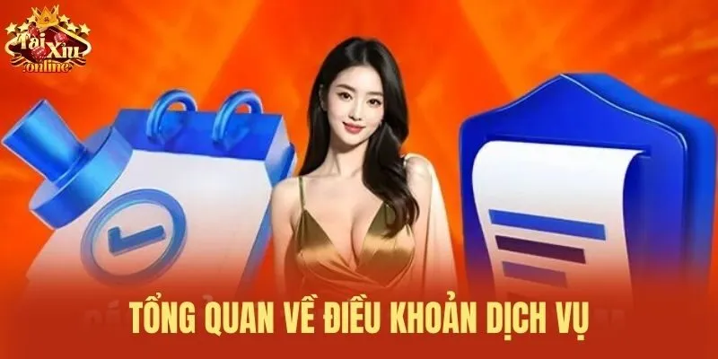 Tổng quan về điều khoản dịch vụ